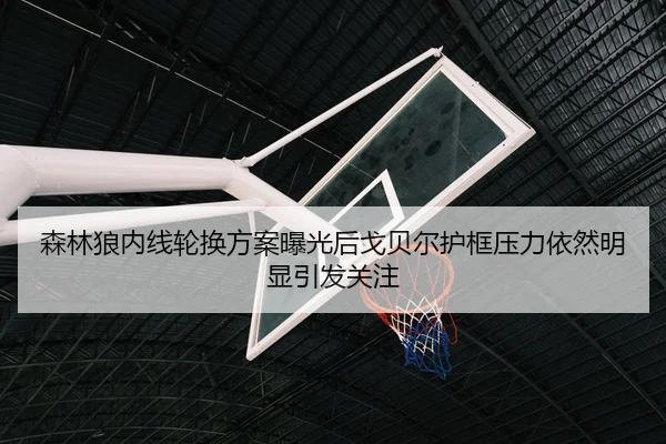 森林狼内线轮换方案曝光后戈贝尔护框压力依然明显引发关注